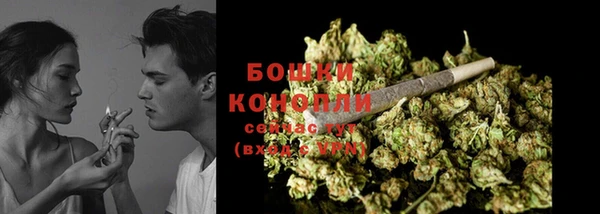 шишки Абаза