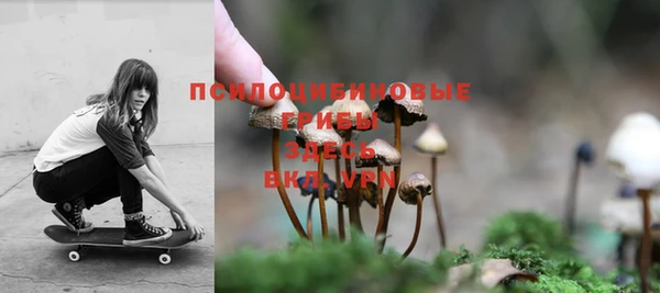 шишки Абаза