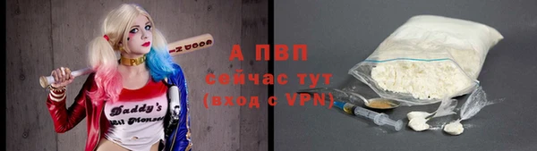 шишки Абаза