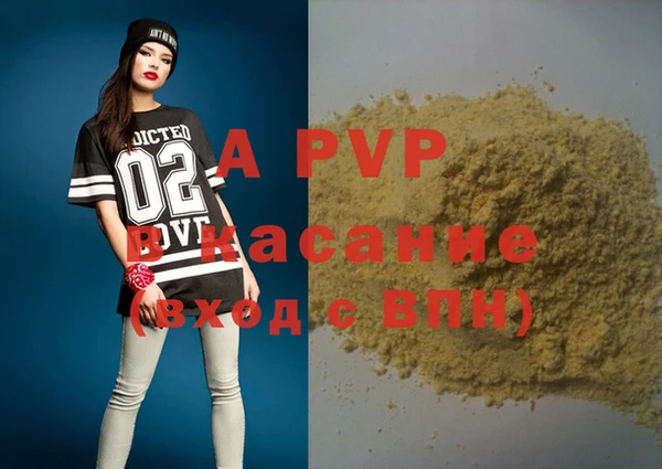 шишки Абаза