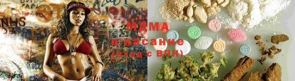шишки Абаза