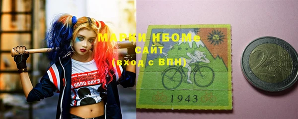 шишки Абаза