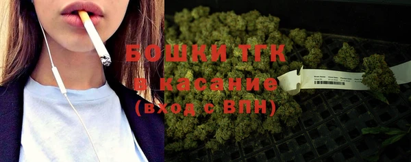 шишки Абаза