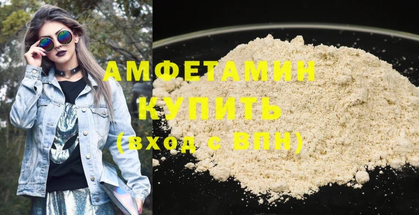 шишки Абаза