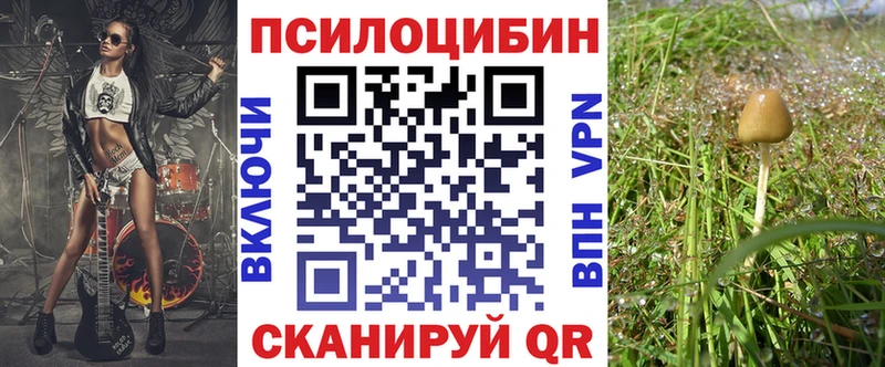 Псилоцибиновые грибы прущие грибы Шали