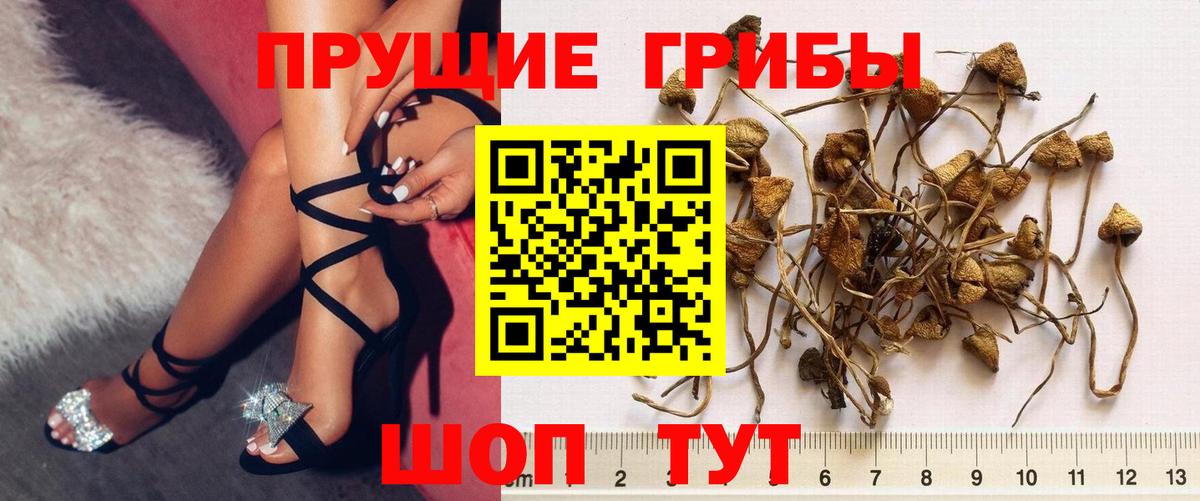 Галлюциногенные грибы Magic Shrooms Шали