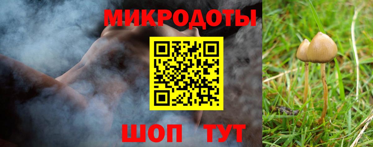 Шали  Галлюциногенные грибы Magic Shrooms  Вход с VPN 